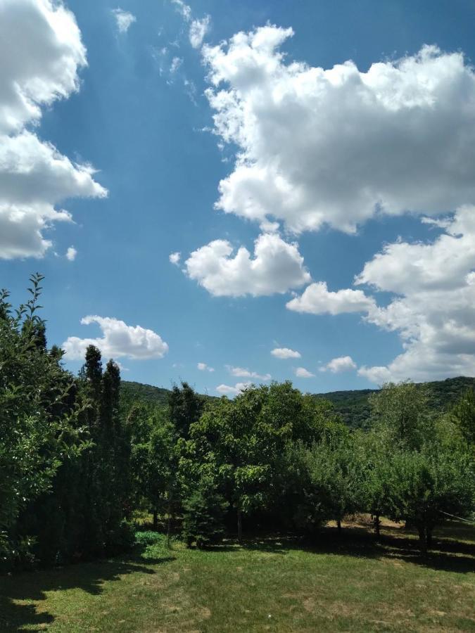 Vila Zvoncica Vrdnik Exterior photo